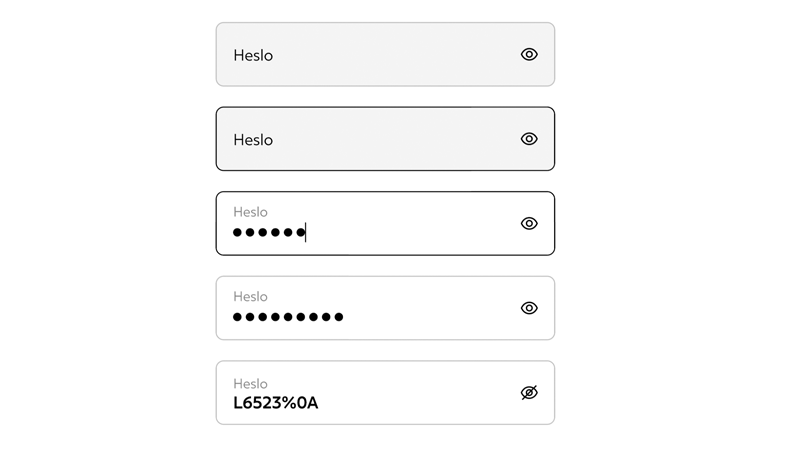  ✓ Input – Password