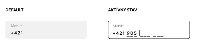  ✓ Formátovanie špeciálnych polí